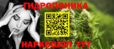 прущие крисы Кандалакша