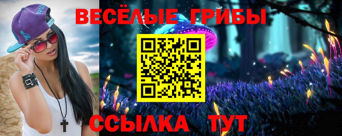 как найти   Галлюциногенные грибы Magic Shrooms  Вход с VPN  Усть-Джегута 