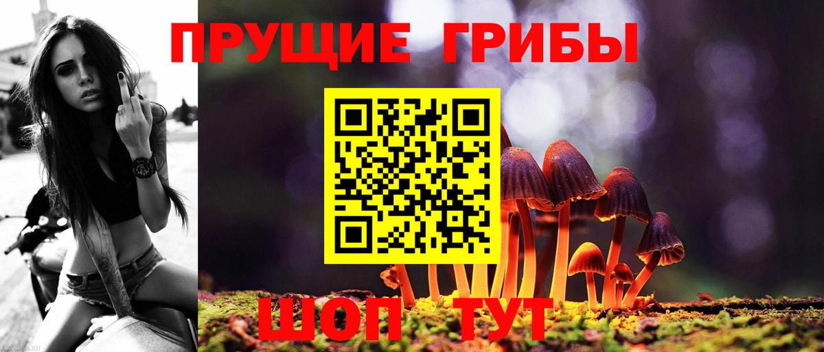 Псилоцибиновые грибы мицелий Усть-Джегута